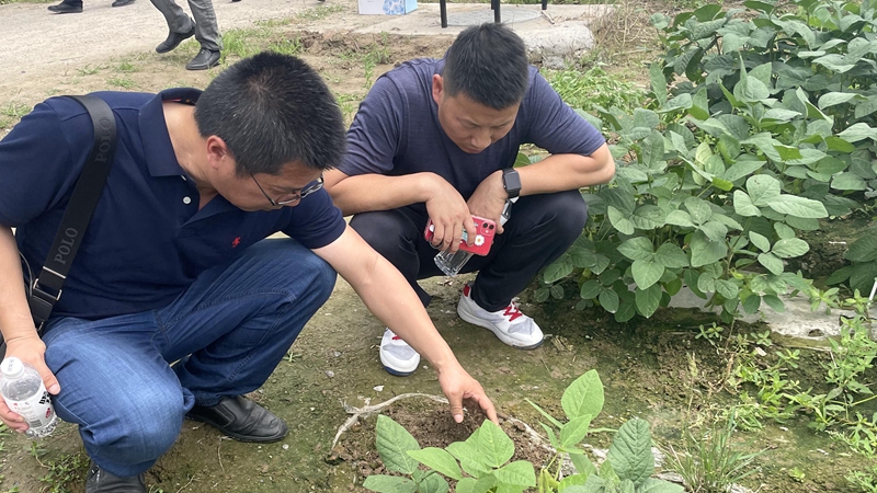 新光公司赴寧波參加全生物降解地膜替代技術交流會